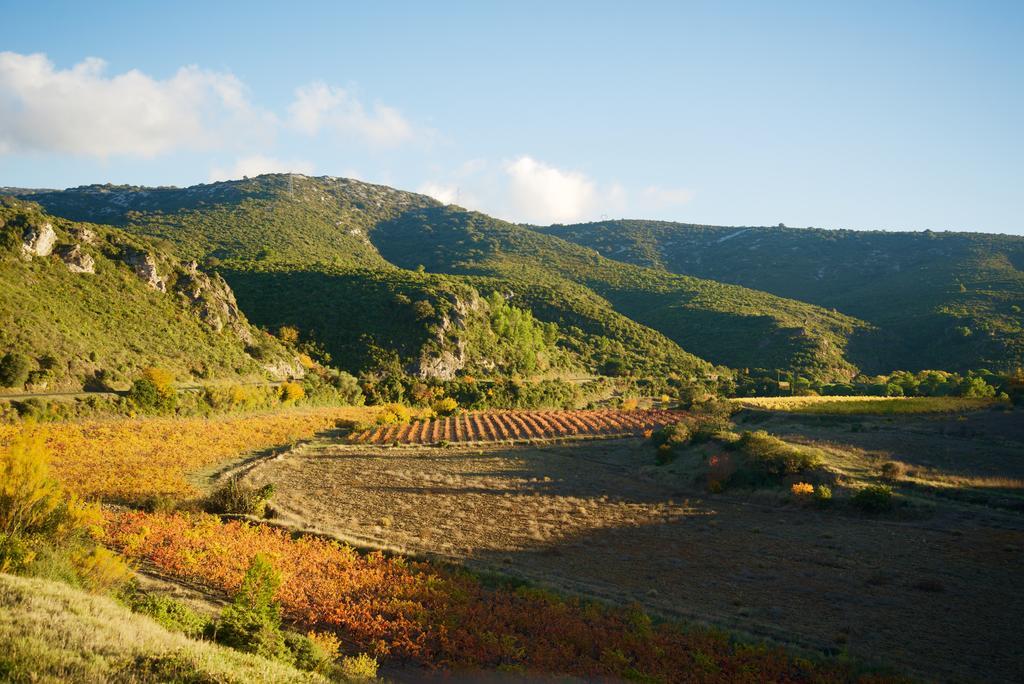 Chemin Neuf Villa Peyriac-de-Mer Dış mekan fotoğraf